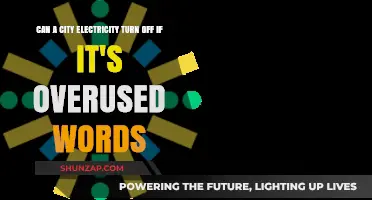 Urban Power Struggles: The Myth of Electricity Overuse Limits