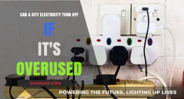 Power Overload: Can a City's Electricity Grid Handle Overuse?