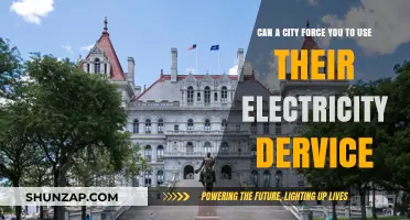 Can Cities Mandate Residents Use Their Electricity Service?