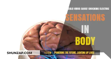 Exploring the Link: Cold Viruses and Electric Sensations in the Body