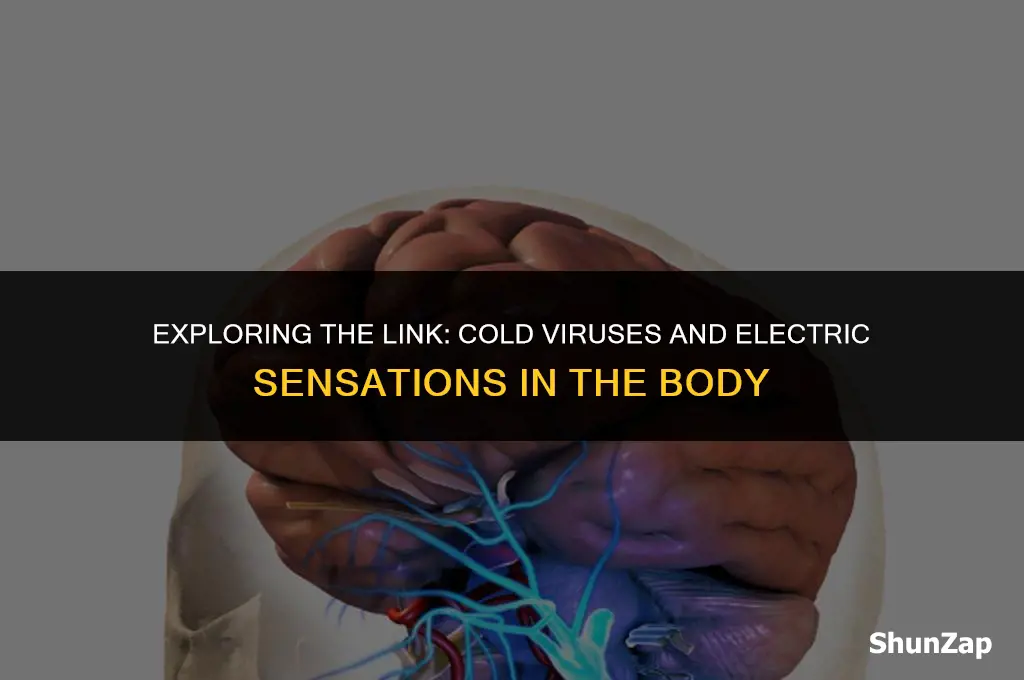 can a cold virus cause shocking electric sensations in body