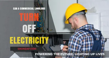 Can a Commercial Landlord Turn Off Electricity? Legal Insights