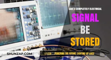 Exploring the Possibilities: Can Purely Electrical Signals Be Stored?