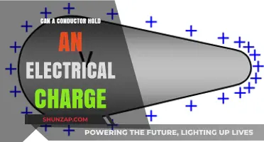 Exploring the Electrifying Truth: Can Conductors Hold Charges?