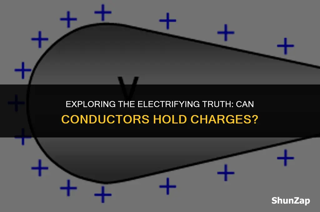 can a conductor hold an electrical charge