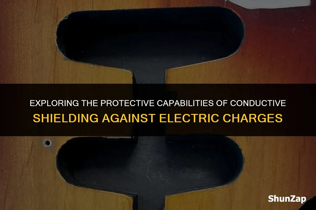 can a condunction shield electric charge