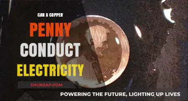Exploring the Electrical Conductivity of a Humble Copper Penny