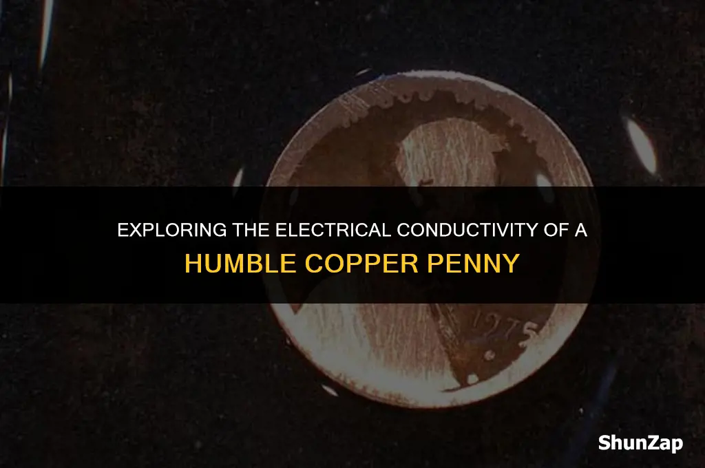 can a copper penny conduct electricity
