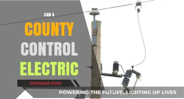 Empowering Counties: The Battle for Electric Grid Control