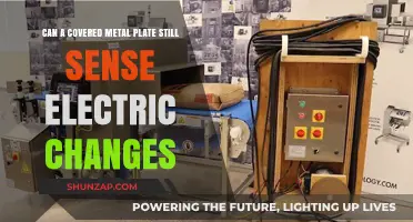 Exploring Electric Sensitivity in Covered Metal Plates