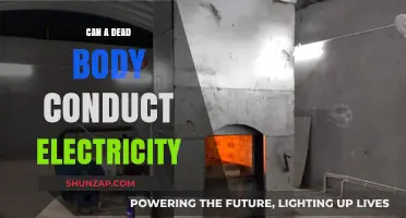 Exploring the Shocking Truth: Can a Dead Body Conduct Electricity?