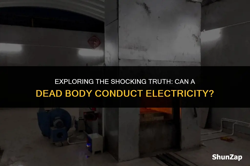 can a dead body conduct electricity