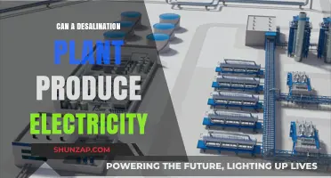 Harnessing the Power of Seawater: Desalination Plants and Electricity Generation