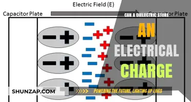 Exploring the Charge-Storing Capabilities of Dielectric Materials