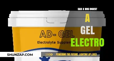 Can Dogs Safely Digest Gel Electrolytes? A Pet Owner's Guide