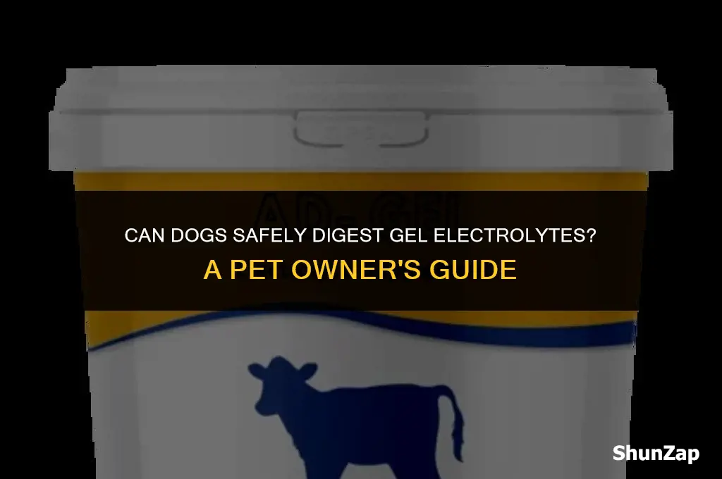 can a dog digest a gel electro