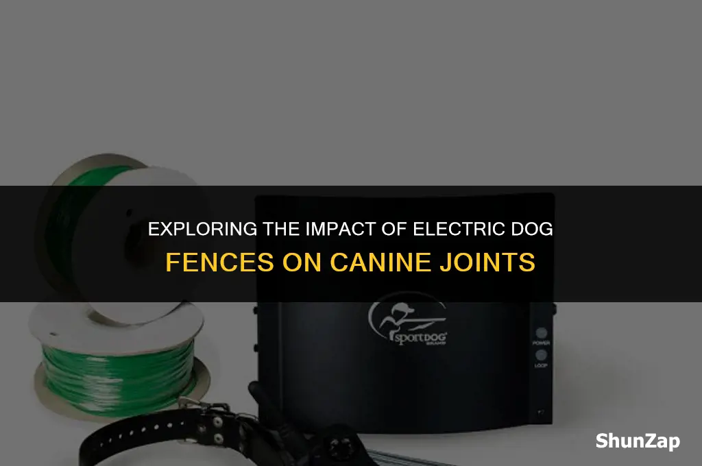 can a dog perimeter electric signal hurt joints