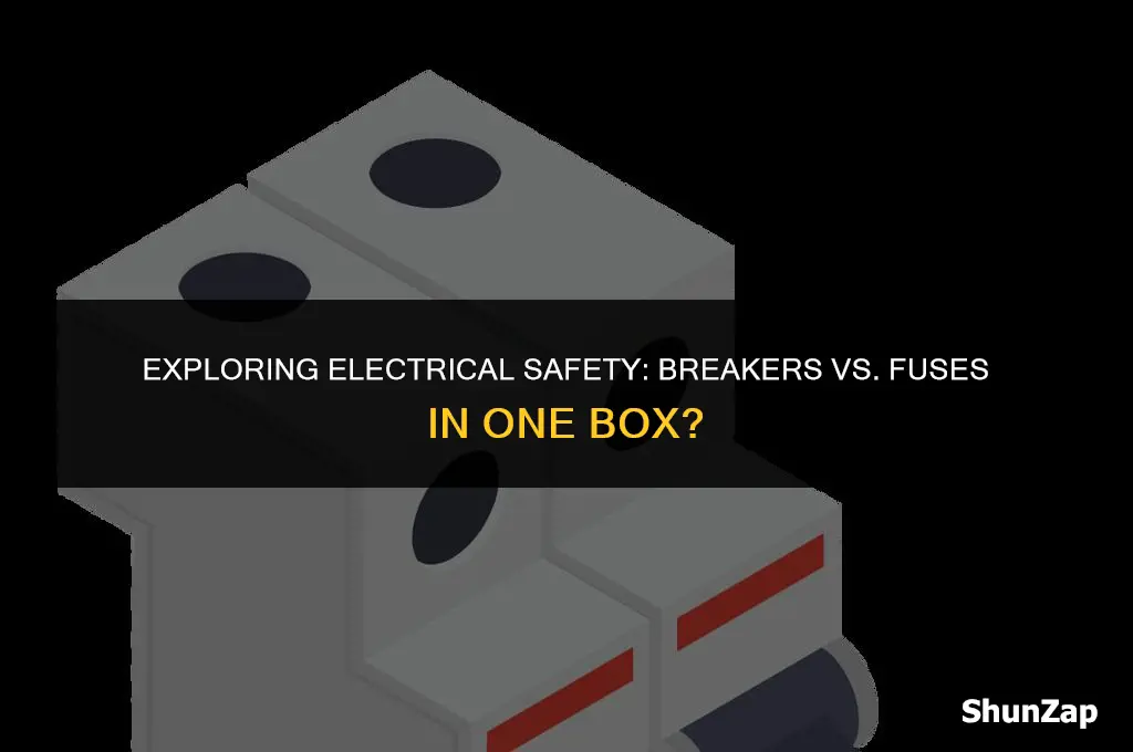 can a electric box have both breakers and fuses