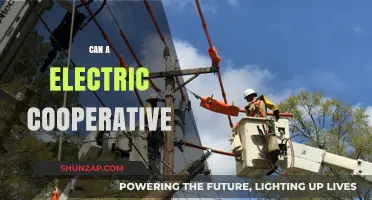 Empowering Communities: The Potential of Electric Cooperatives