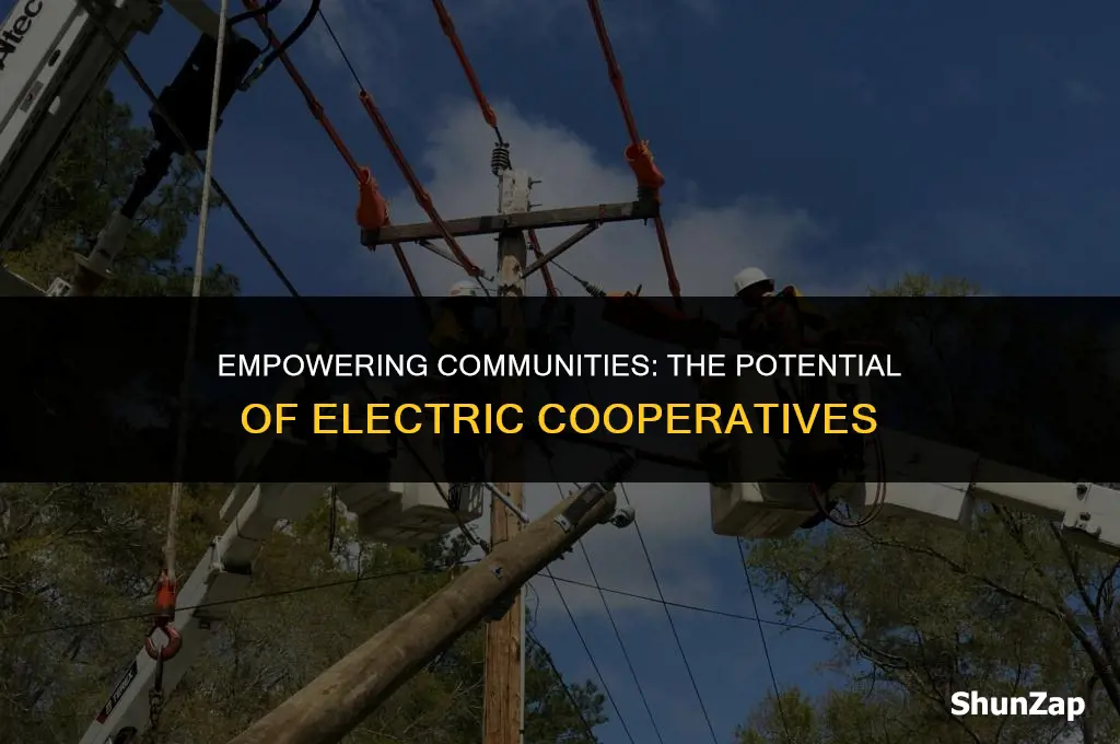 can a electric cooperative