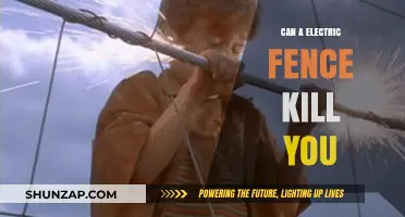 The Shocking Truth: Electric Fences and Lethal Consequences
