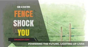 Electric Fences 101: Understanding the Shocking Truth