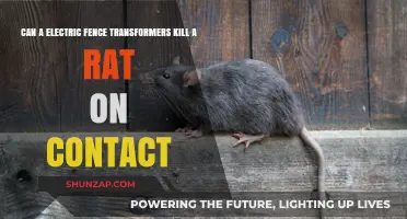 Electric Fence Transformers: Lethal to Rats on Contact?