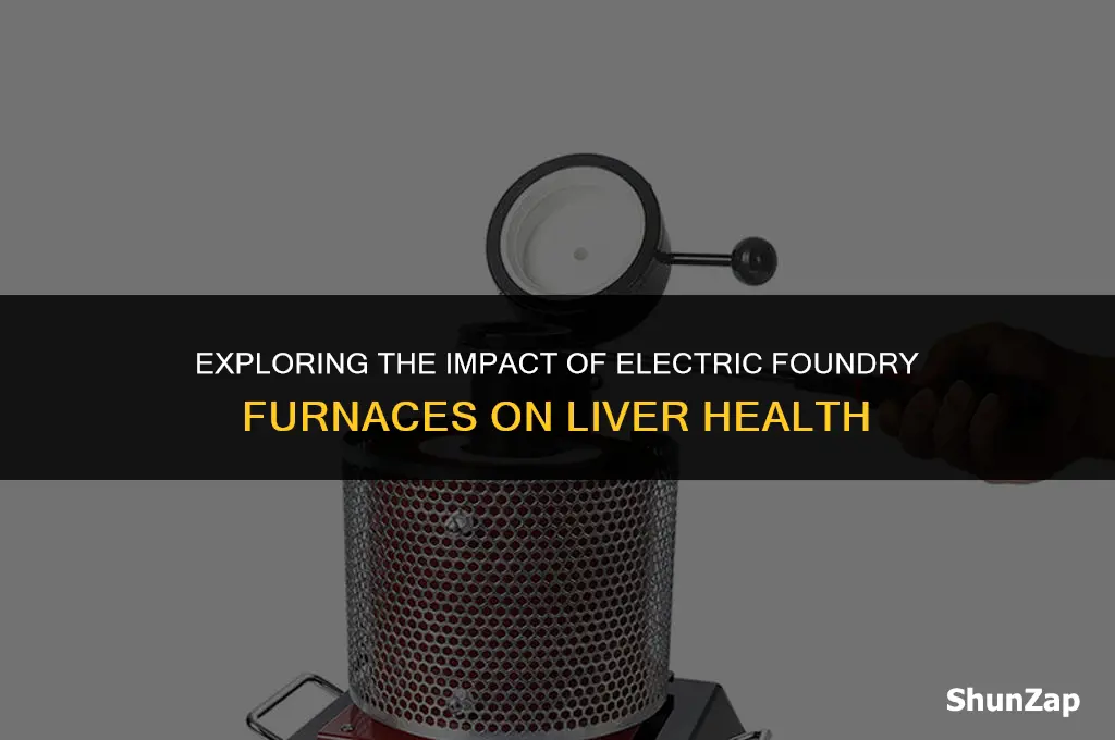 can a electric foundry furnace affect your liver