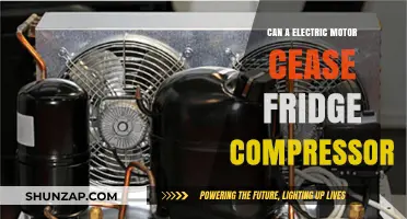 Exploring the Possibility: Can an Electric Motor Cease a Fridge Compressor?