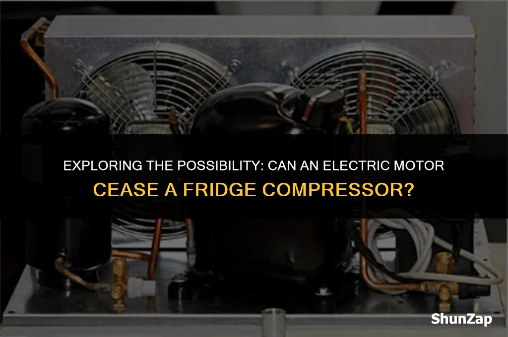 can a electric motor cease fridge compressor