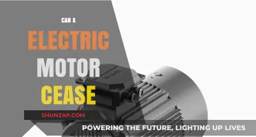 Exploring the Lifespan of Electric Motors: Can They Cease?