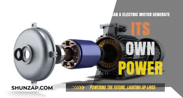 Exploring Self-Sustainability: Can Electric Motors Generate Their Own Power?