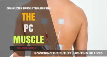 Revamping PC Muscle Strength: The Role of Electric Muscle Stimulators