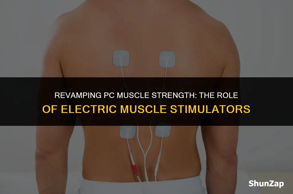 can a electric muscle stimulator help the pc muscle
