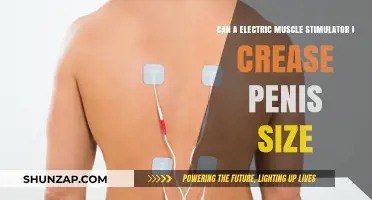 The Truth About Electric Muscle Stimulators and Penis Size
