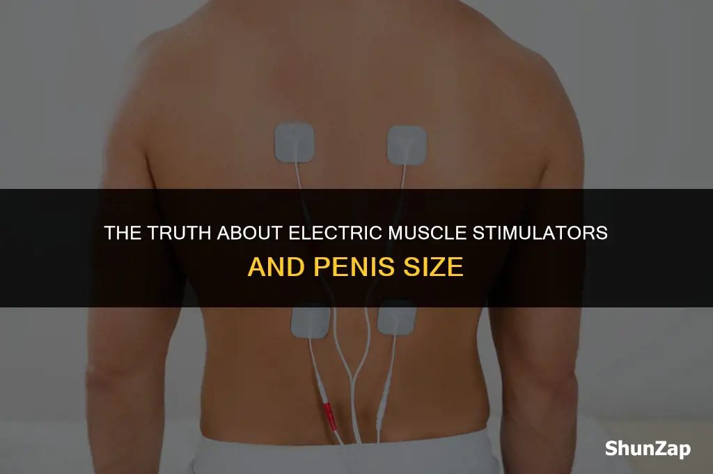can a electric muscle stimulator i crease penis size