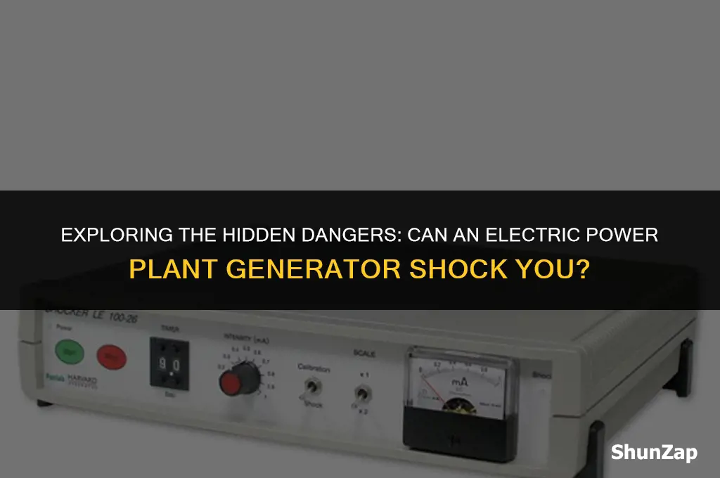 can a electric power plant genorater shock you