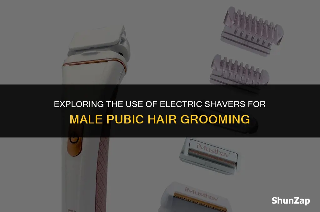 can a electric shaver shave male pubes