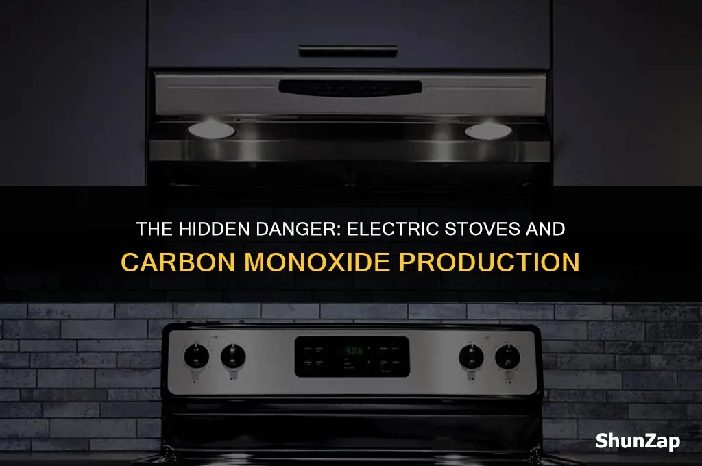 can a electric stove produce carbon monoxide