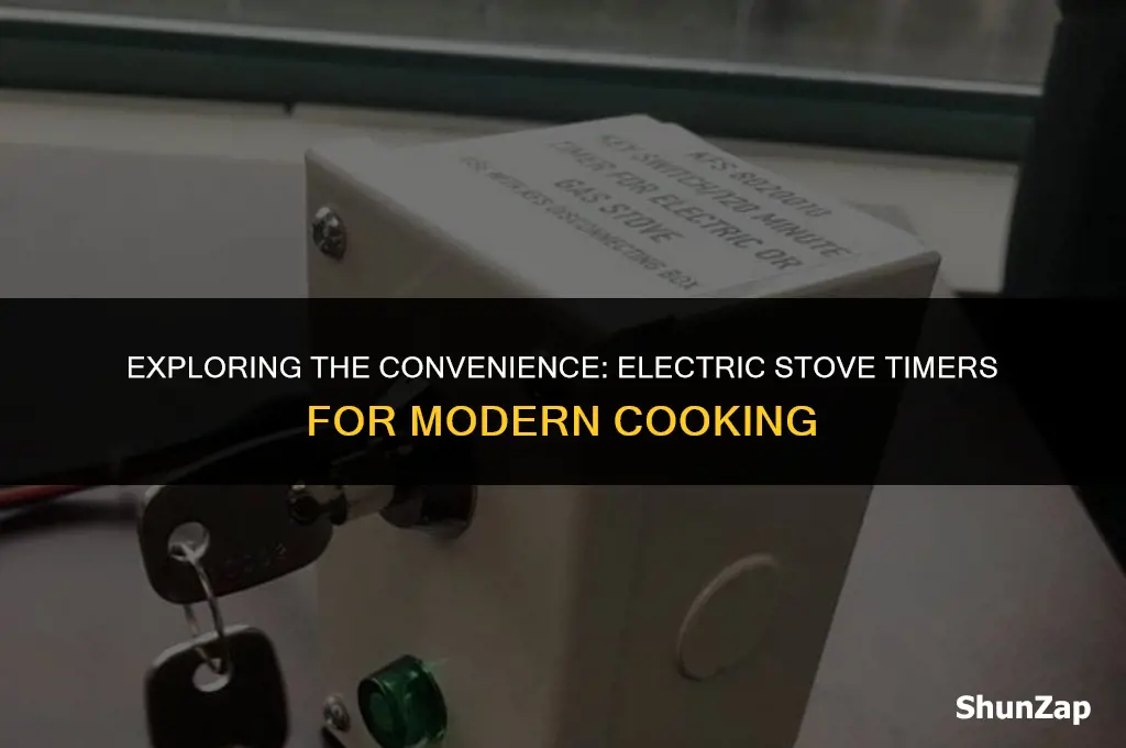 can a electric stove switch timer