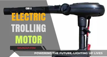 Exploring the Power of Electric Trolling Motors: A Comprehensive Guide
