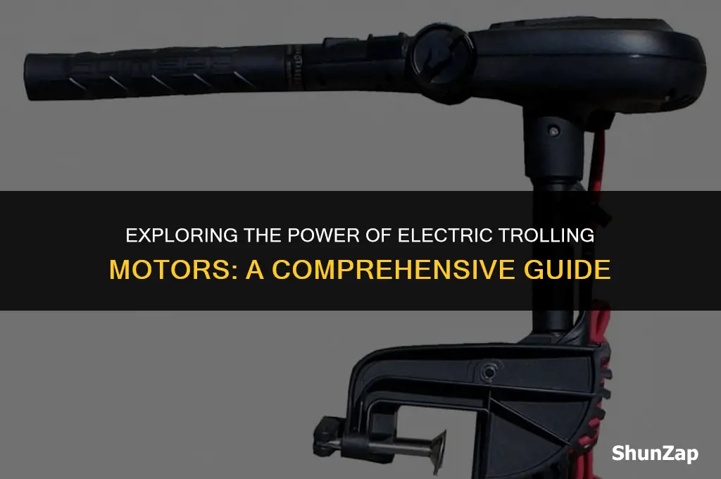 can a electric trolling motor