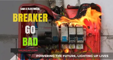 Can Your Electrical Breaker Go Bad? Signs to Watch For