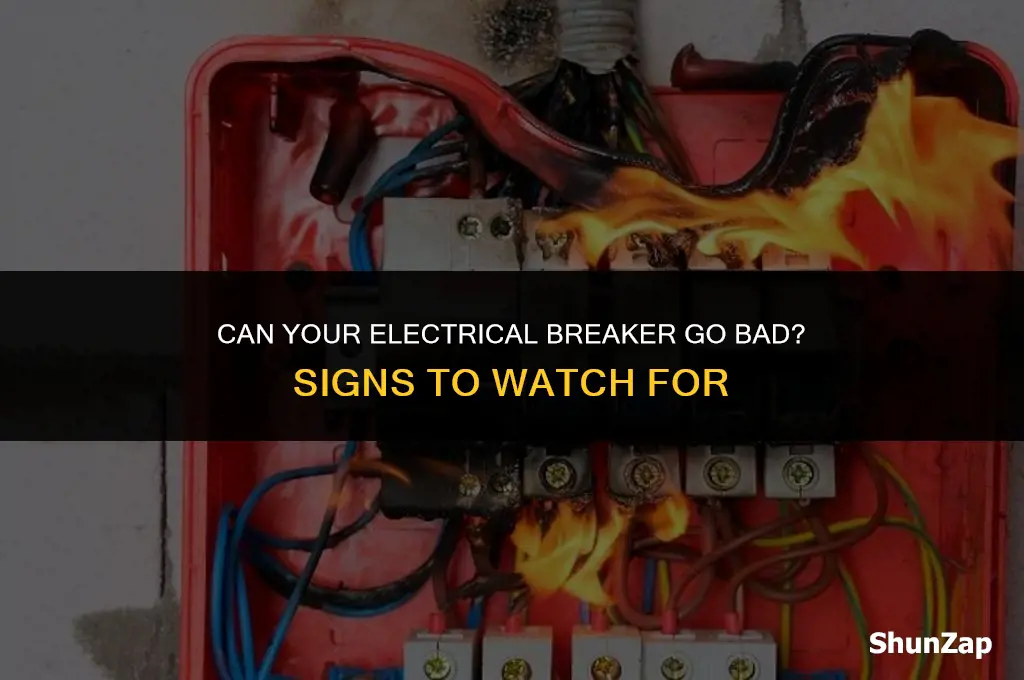 can a electrical breaker go bad