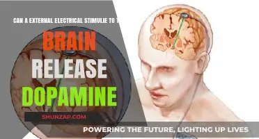 Exploring the Effects of External Brain Stimulation on Dopamine Release