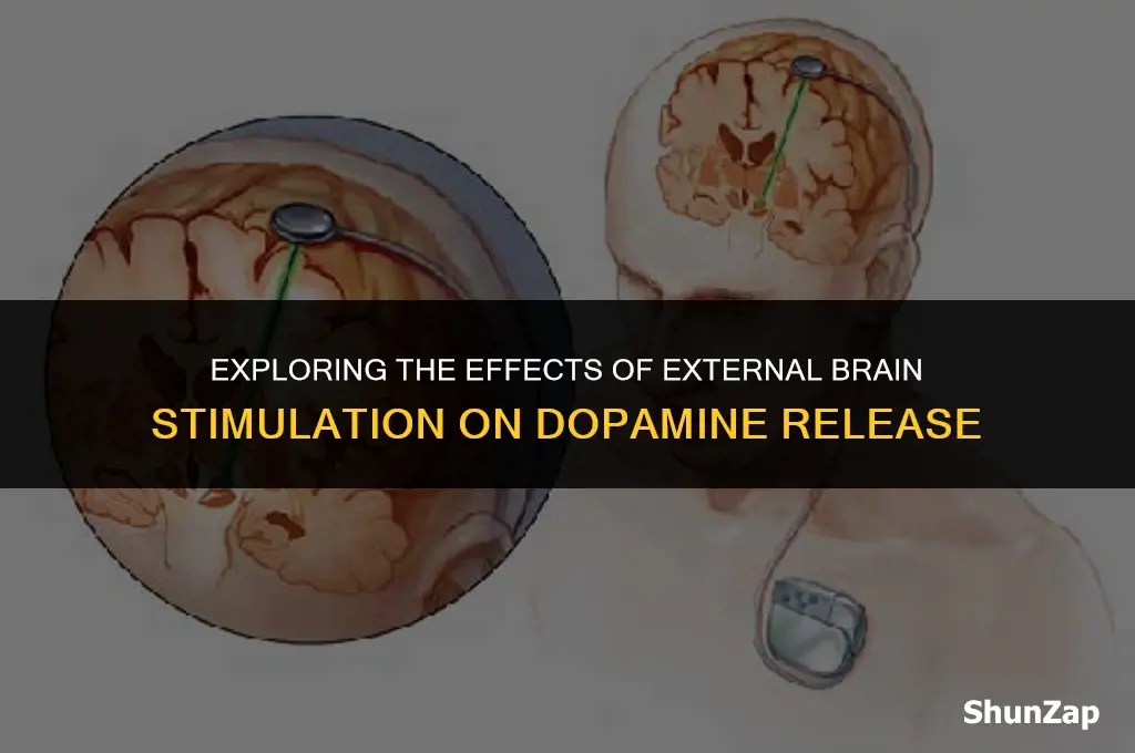 can a external electrical stimulie to the brain release dopamine