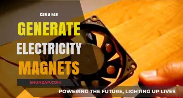 Exploring the Potential: Can Fan-Generated Electricity Power Magnets?