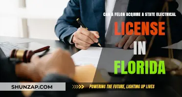 Pathways to Redemption: Can Felons Obtain Electrical Licenses in Florida?