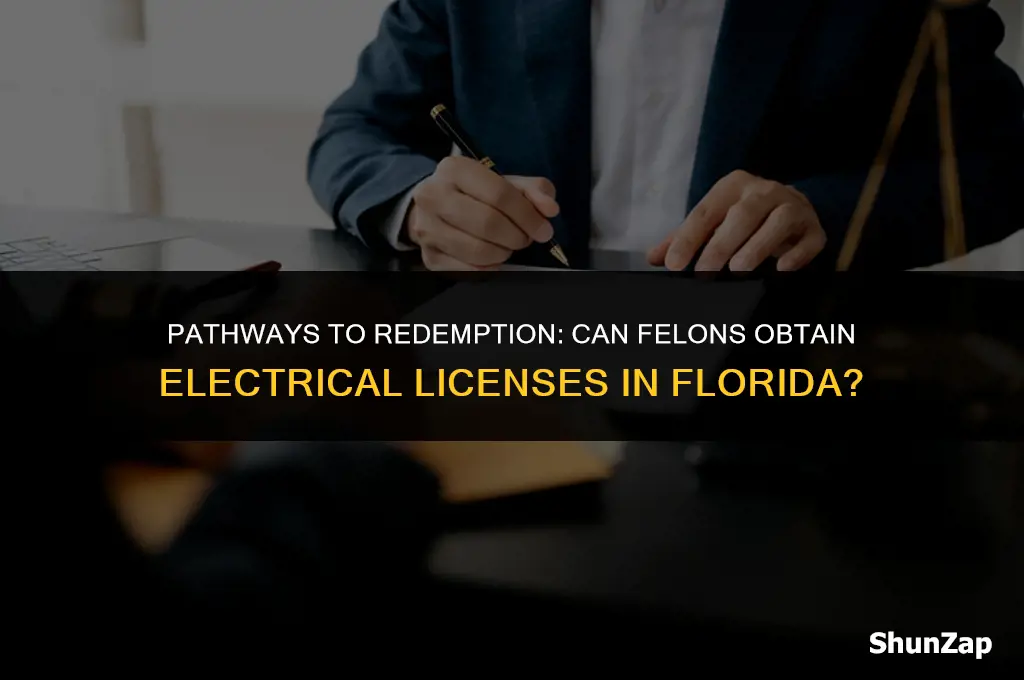 can a felon acquire a state electrical license in florida