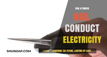 Exploring the Conductive Properties of Finger Nails